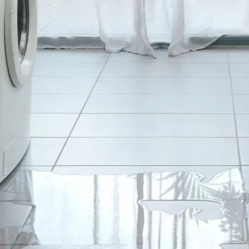 Appliance Leak Cleanup in Hillsborough County, FL