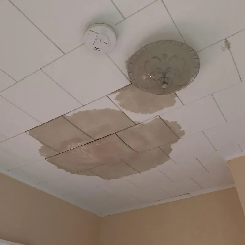 Ceiling Water Damage Repair in Hillsborough County, FL